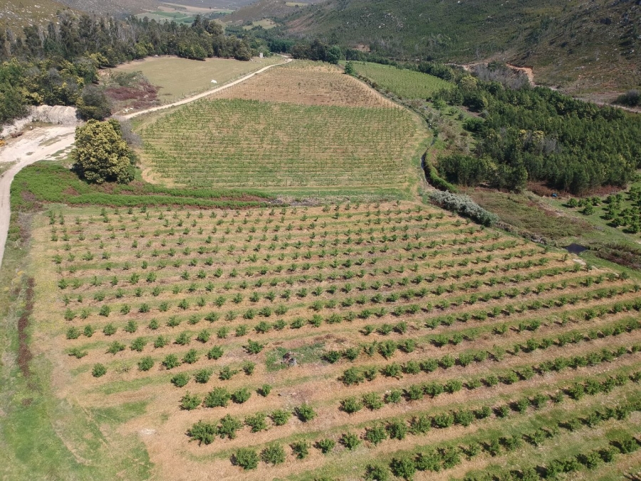 7 Bedroom Property for Sale in Riversdale Rural Western Cape